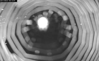 061301_808975566.jpg
