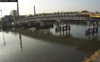 110002_390076839.jpg