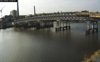 105501_729067252.jpg