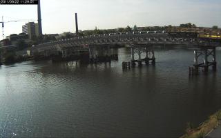 112901_871431873.jpg