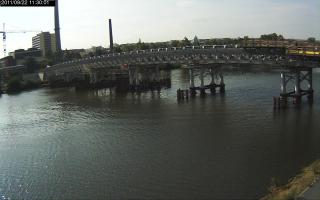 113001_439531451.jpg