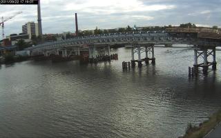 171901_385164098.jpg