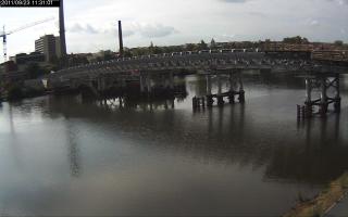 113101_251613985.jpg