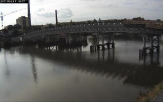 113401_451148242.jpg