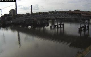 113501_346460083.jpg