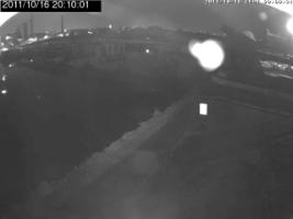 201001_902659391.jpg