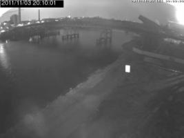 201001_459559998.jpg