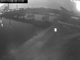 201101_429559360.jpg