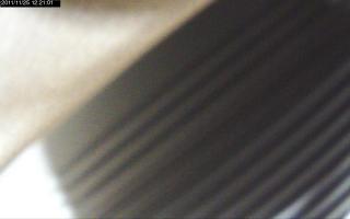 122101_809651870.jpg