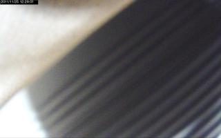 122901_391122044.jpg
