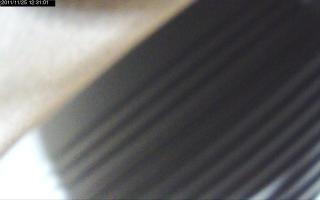 123101_559457955.jpg