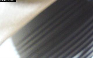 123501_380912058.jpg