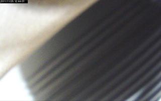 124401_442021067.jpg