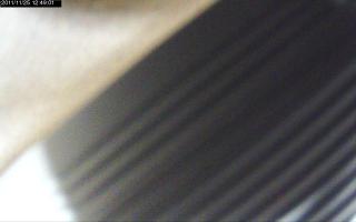 124901_353299781.jpg