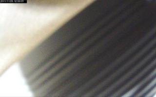 125001_751299065.jpg