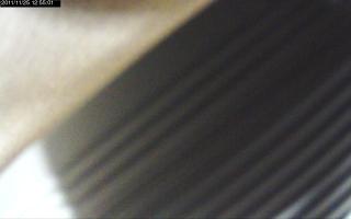 125501_221691099.jpg