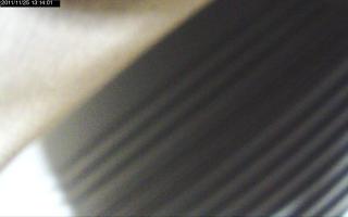 131401_785281902.jpg