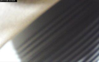 131501_747790955.jpg