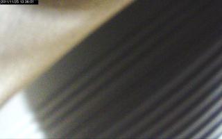133601_104358988.jpg