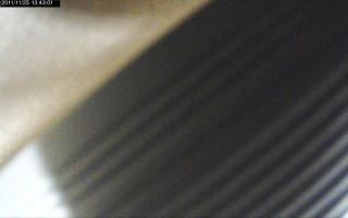 134301_413693746.jpg
