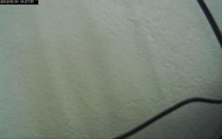 102701_592834947.jpg
