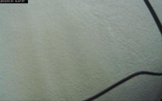 144701_918955793.jpg