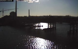 135702_383278890.jpg