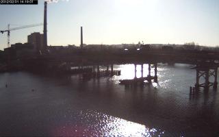 141901_722195940.jpg