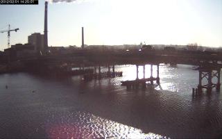 142501_495909595.jpg