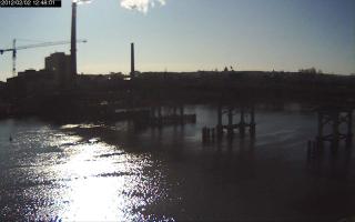 124801_730271939.jpg