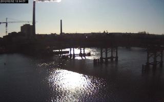 133401_448747617.jpg
