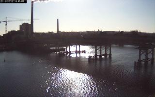 134501_295328620.jpg