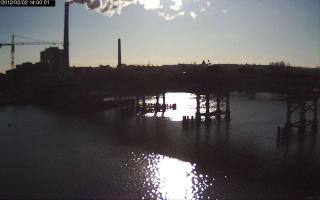 140001_770576338.jpg