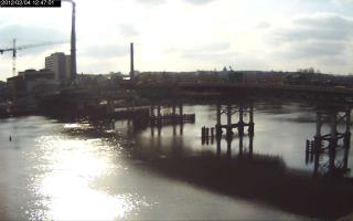 124701_460144154.jpg