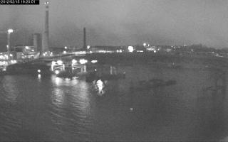 192001_981489502.jpg