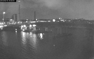 194301_460615627.jpg