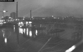 195001_842178905.jpg