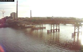 155501_251776124.jpg