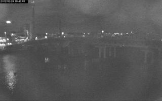 194601_932638849.jpg