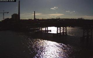 134501_448507706.jpg