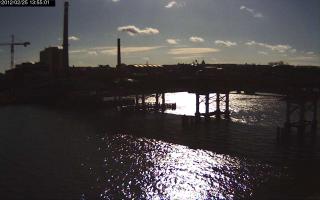 135501_863030117.jpg