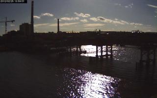 135901_243674630.jpg