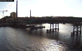 141401_441752182.jpg