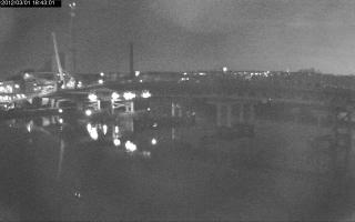 184301_917299097.jpg