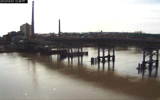 124801_446549861.jpg