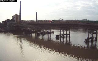 132501_773615312.jpg