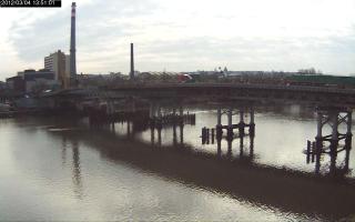 135101_950236679.jpg