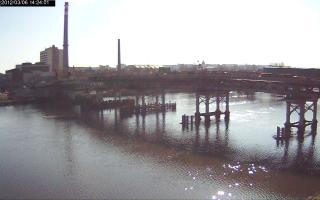 142401_333378313.jpg