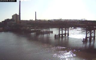 142901_731200051.jpg