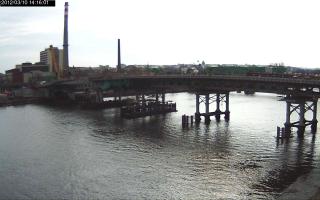 141601_906817774.jpg